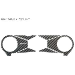 Carbonový polep brýlí Print - Kawasaki ZX 10R (06-10) výprodej